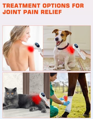 Collage showing joint pain treatment for a woman, dog, cat, and horse.