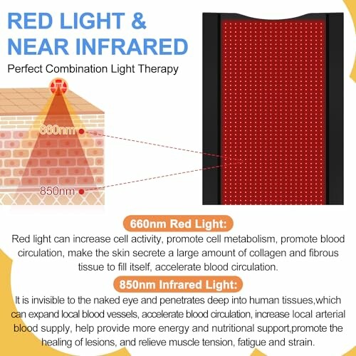 Illustration of red light and near-infrared therapy benefits.